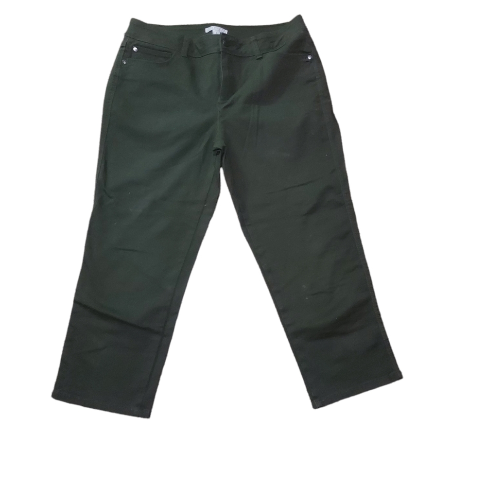 Dana Buchman Pants Jeans 8 Green Straight Leg Skinny Woman